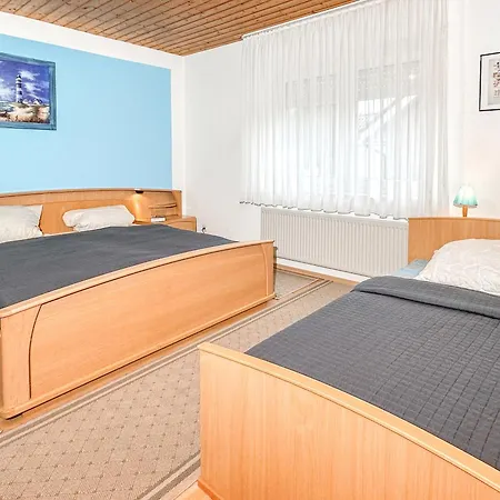 7031 Sonnenblume Eg Kellenhusen