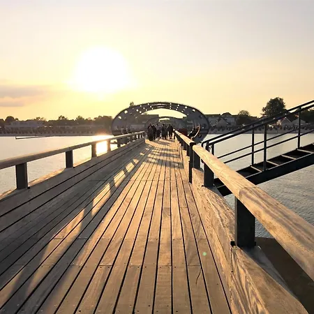 7031 Sonnenblume Eg Kellenhusen